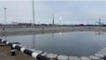Рекультивация открытых хранилищ